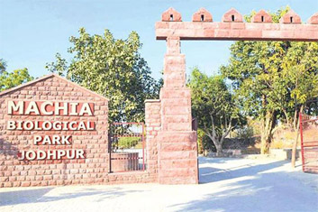 Machia bio park